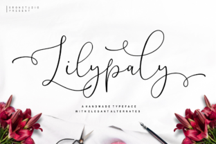 Lilypaly: Crafting Visual Harmony with Modern Typography