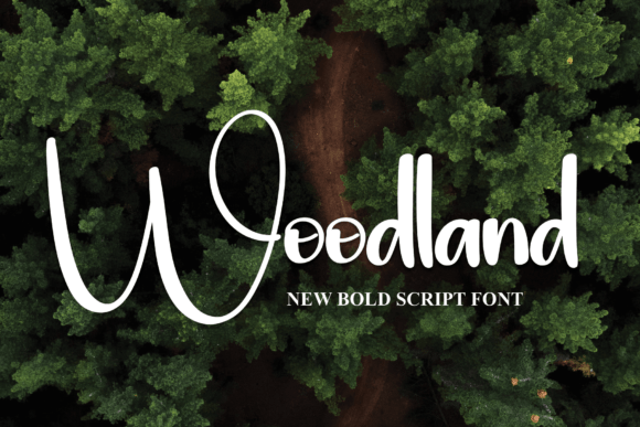 Woodland: The Robust Typeface for Bold, Sport-Inspired Designs